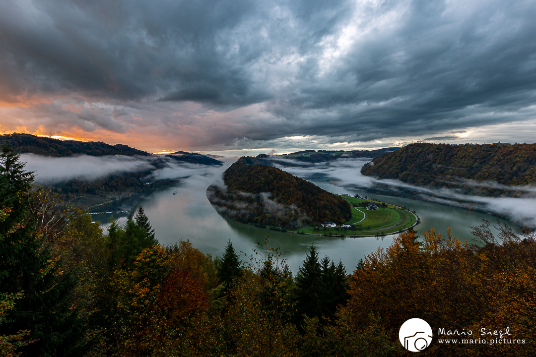 Schlögener Schlinge bei Sonnenuntergang